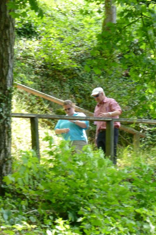 Neuschwanstein juni 2011 - 240